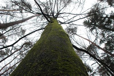 Il Parco del Po e del Queyras nei Vosgi a studiare un’Area della Biosfera